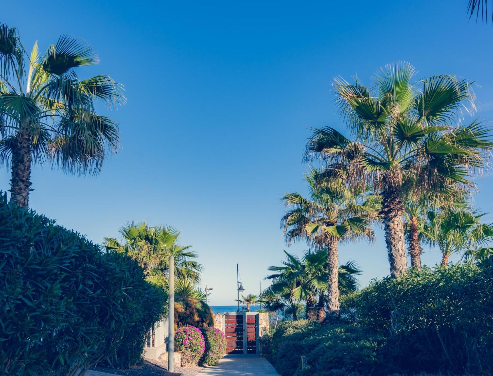 Apartamento Premium Con Jacuzzi Y Vistas Al Mar En Punta Prima, Torrevieja By Rentalole Εξωτερικό φωτογραφία